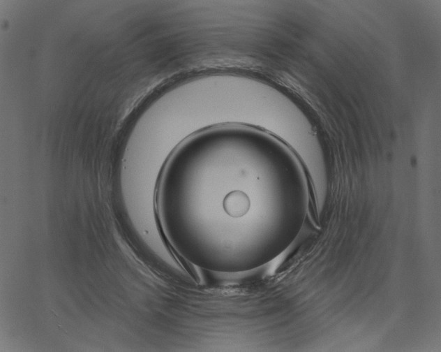 X0000067840448200604271624