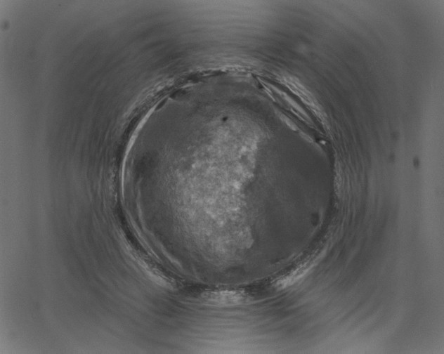 X0000067840449200604271624