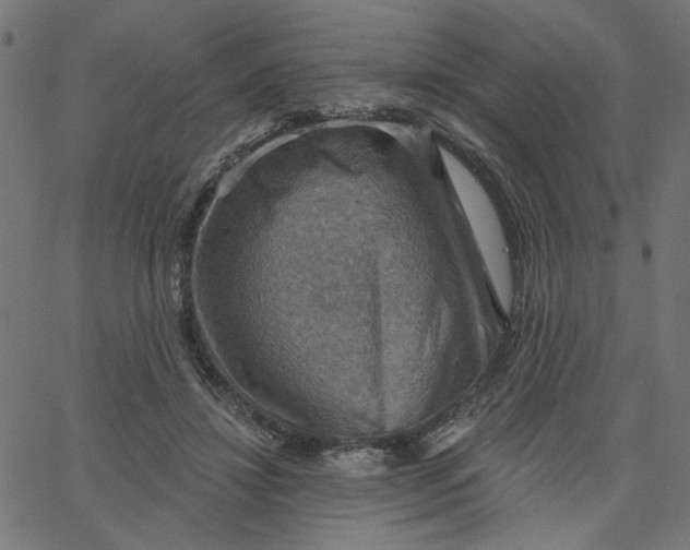 X0000067840452200604271624