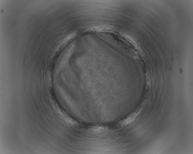 X0000067840453200604271624