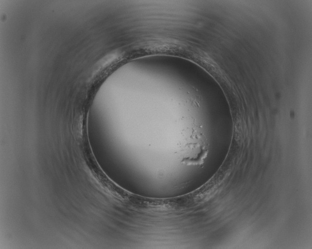 X0000067840454200604271624