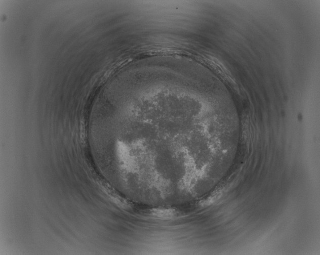 X0000067840457200604271624