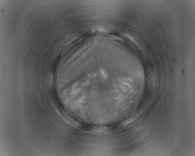 X0000067840459200604271624