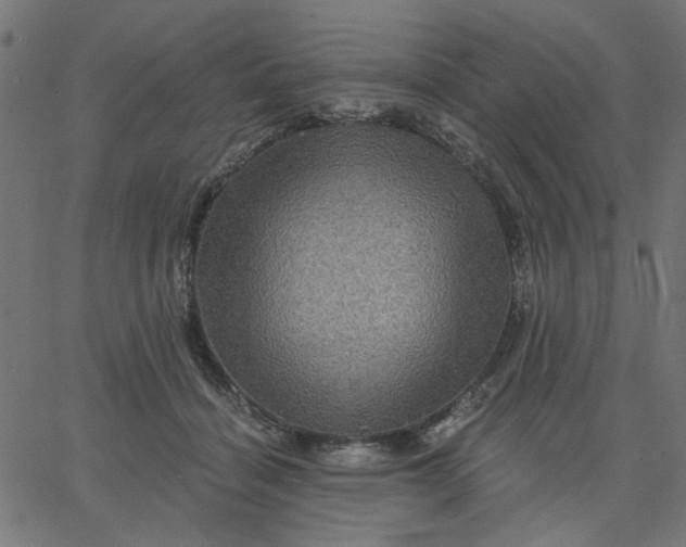 X0000067840460200604271624