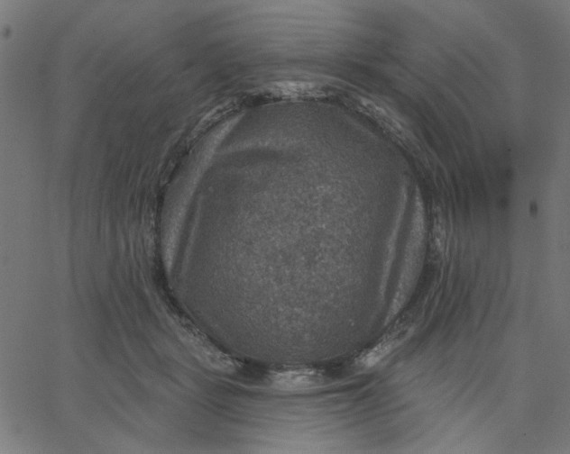 X0000067840461200604271624