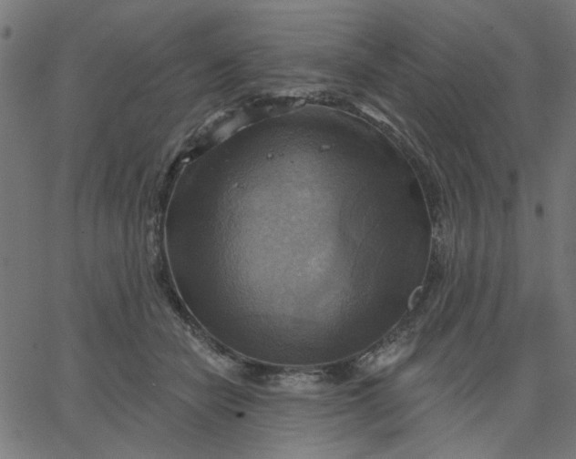 X0000067840462200604271624