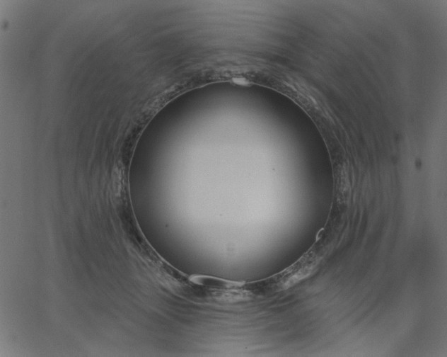 X0000067840463200604271624