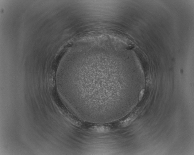 X0000067840464200604271624