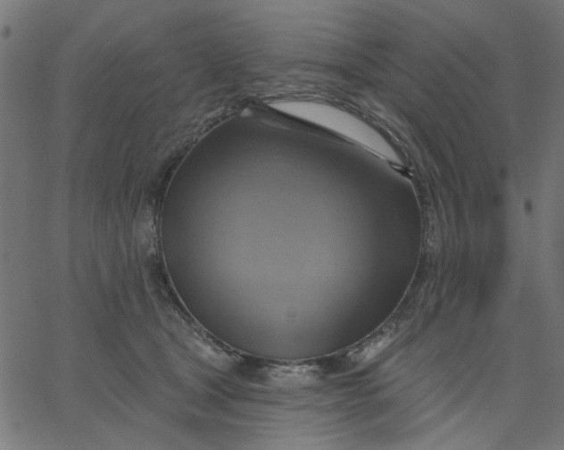 X0000067840465200604271624