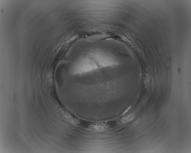 X0000067840466200604271624