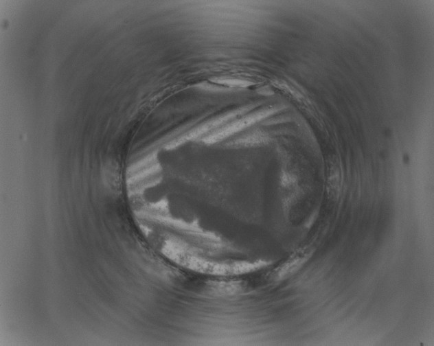 X0000067840469200604271624