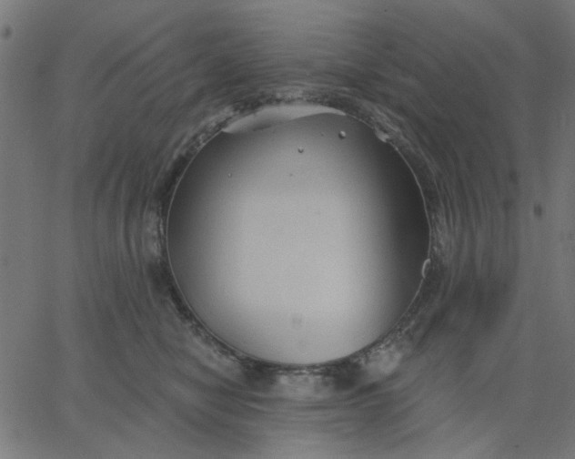 X0000067840470200604271624