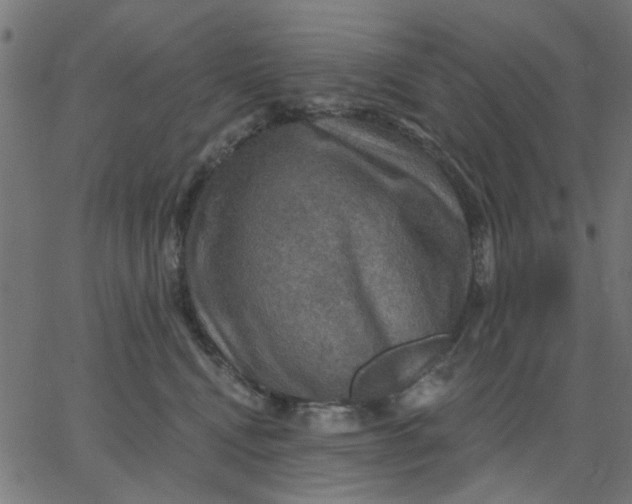 X0000067840472200604271624