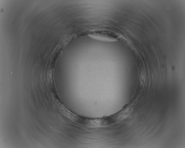 X0000067840473200604271624