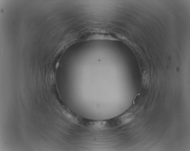 X0000067840474200604271624