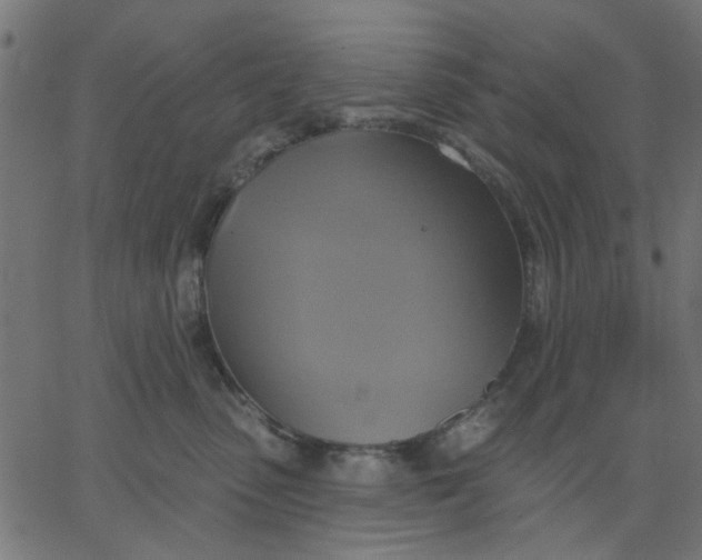 X0000067840475200604271624