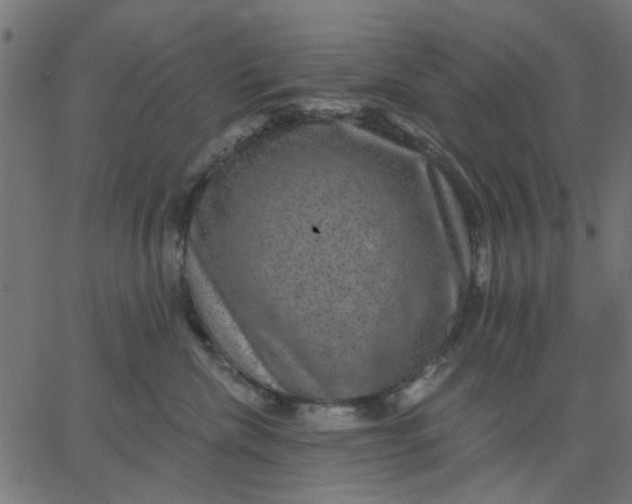 X0000067840476200604271624