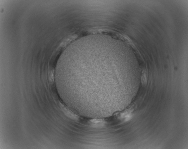 X0000067840477200604271624