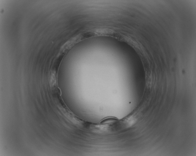 X0000067840478200604271624