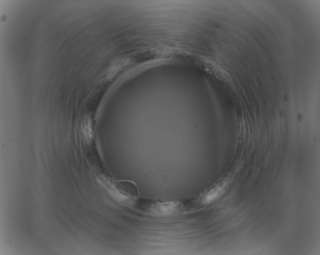 X0000067840479200604271624