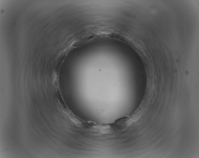 X0000067840480200604271624