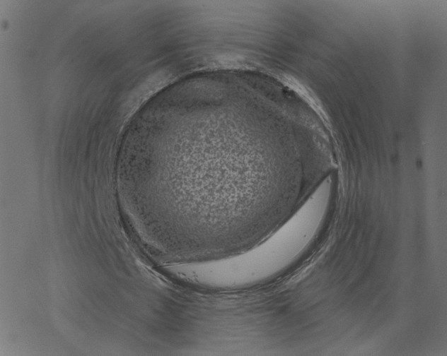 X0000067840481200604271623