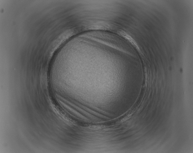 X0000067840482200604271623