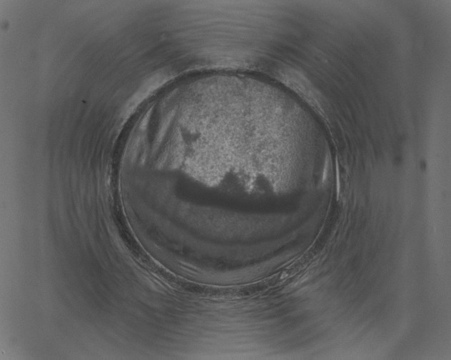 X0000067840483200604271623