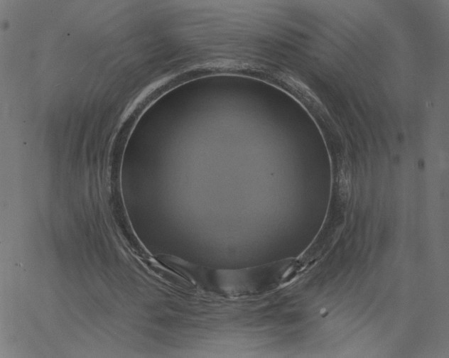 X0000067840484200604271623