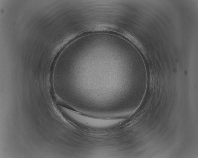 X0000067840485200604271623