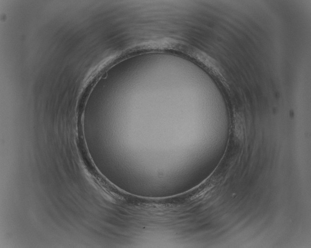 X0000067840486200604271623