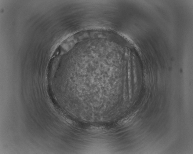 X0000067840487200604271623