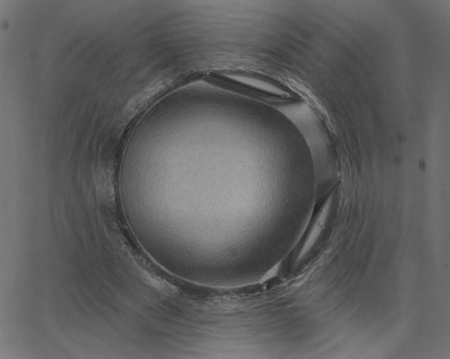 X0000067840489200604271623