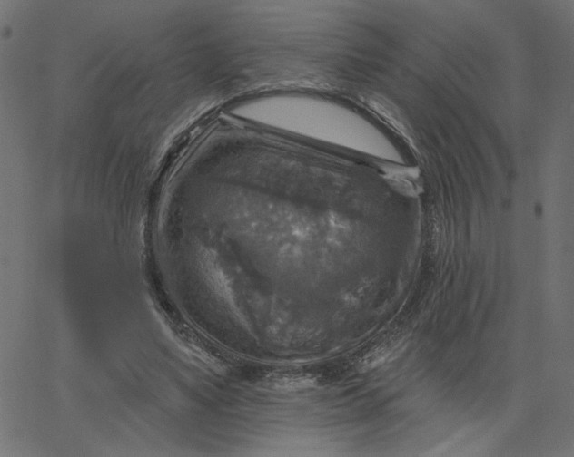 X0000067840491200604271623