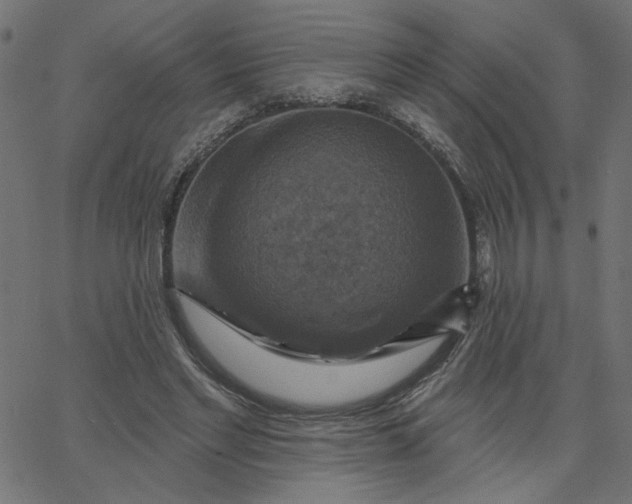 X0000067840493200604271623