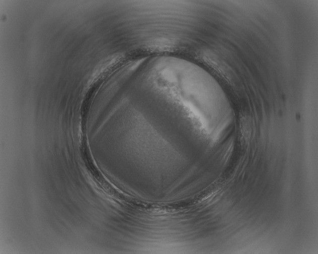 X0000067840494200604271623