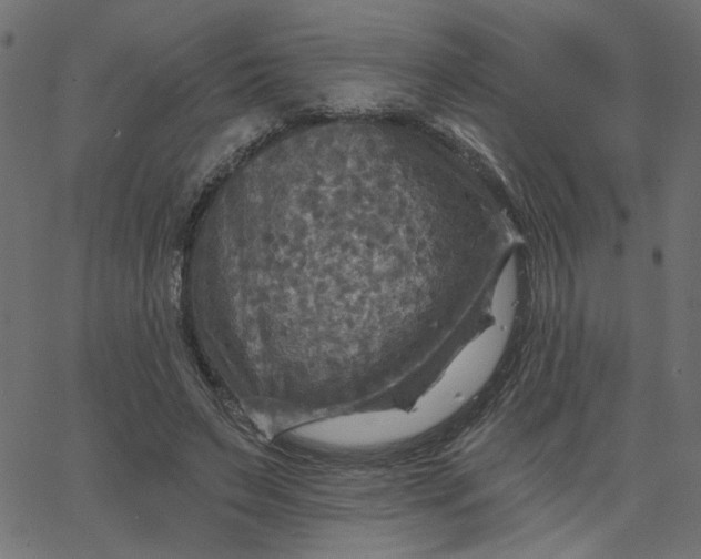 X0000067840495200604271623