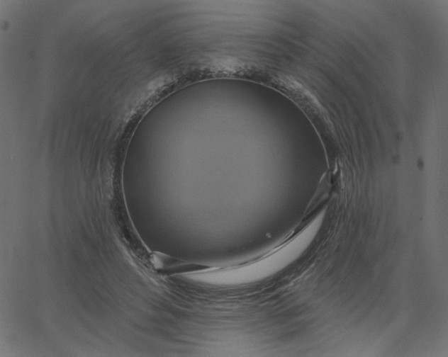 X0000067840496200604271623