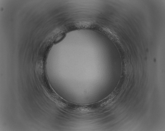 X0000067840498200604271623