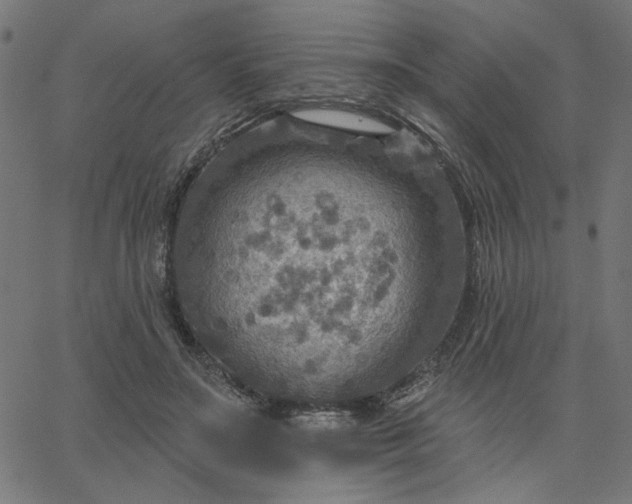 X0000067840499200604271623