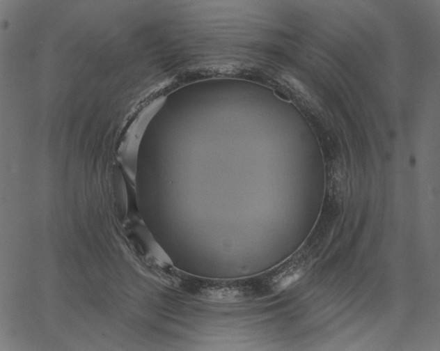 X0000067840500200604271623