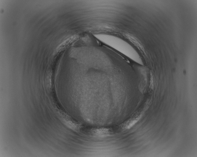 X0000067840501200604271623