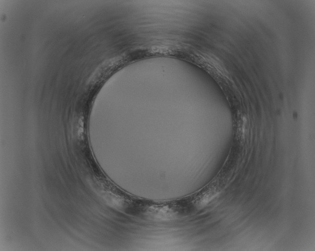 X0000067840502200604271623