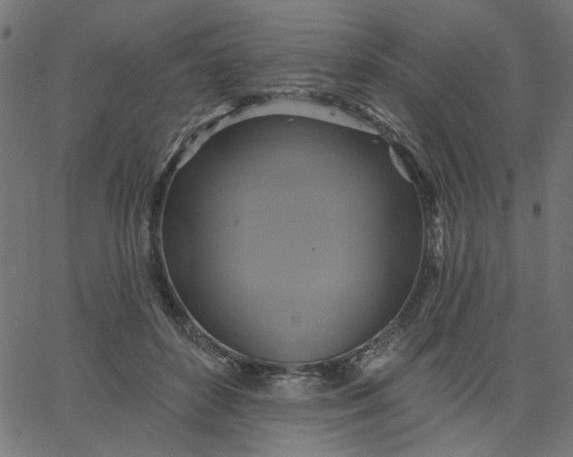 X0000067840504200604271623