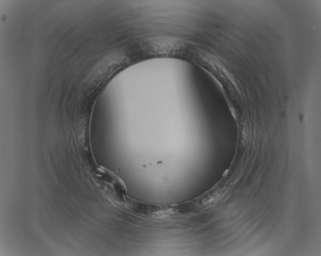 X0000067840505200604271623