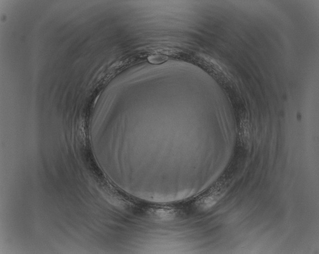 X0000067840506200604271623