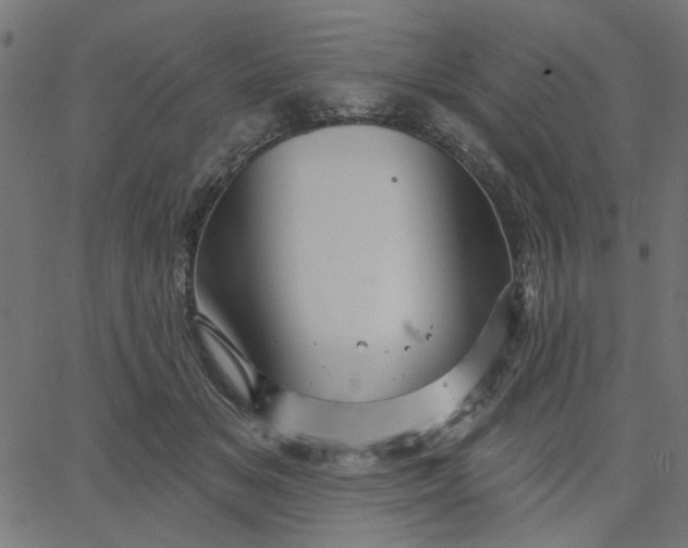 X0000067840509200604271623