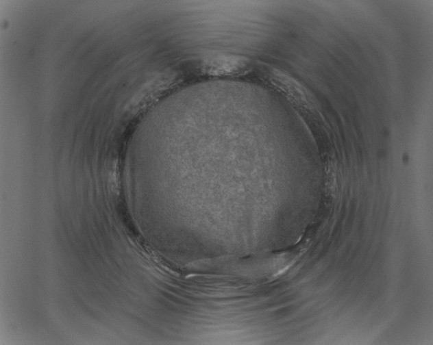 X0000067840510200604271623