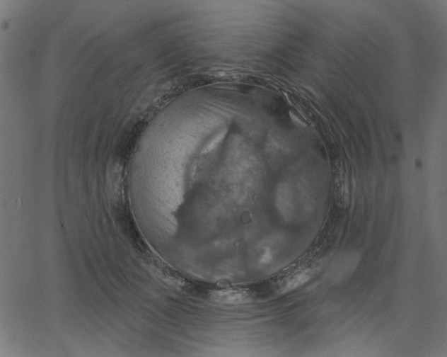 X0000067840511200604271623