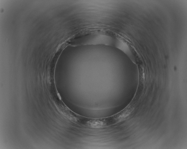 X0000067840512200604271623